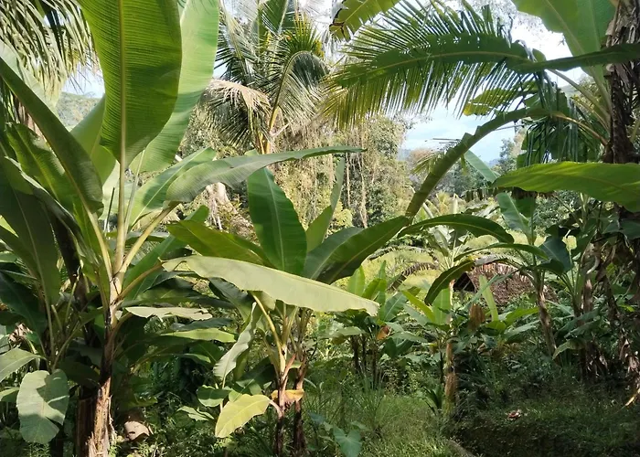 Konukevi Khrisna Hs And 2*